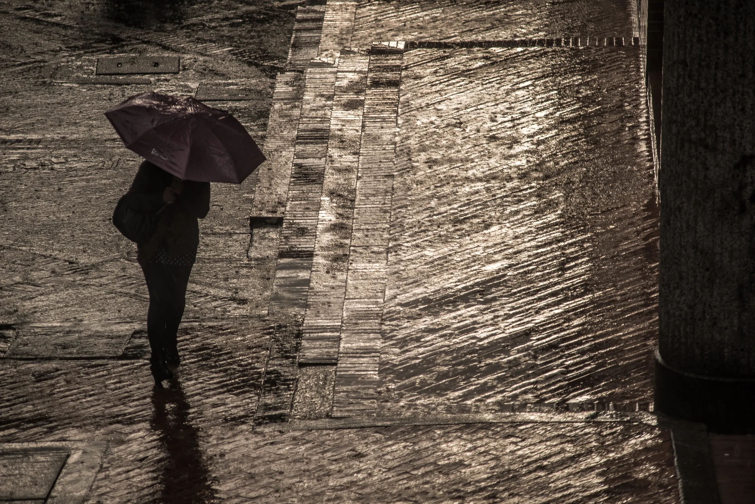 Paraguas Bajo La Lluvia