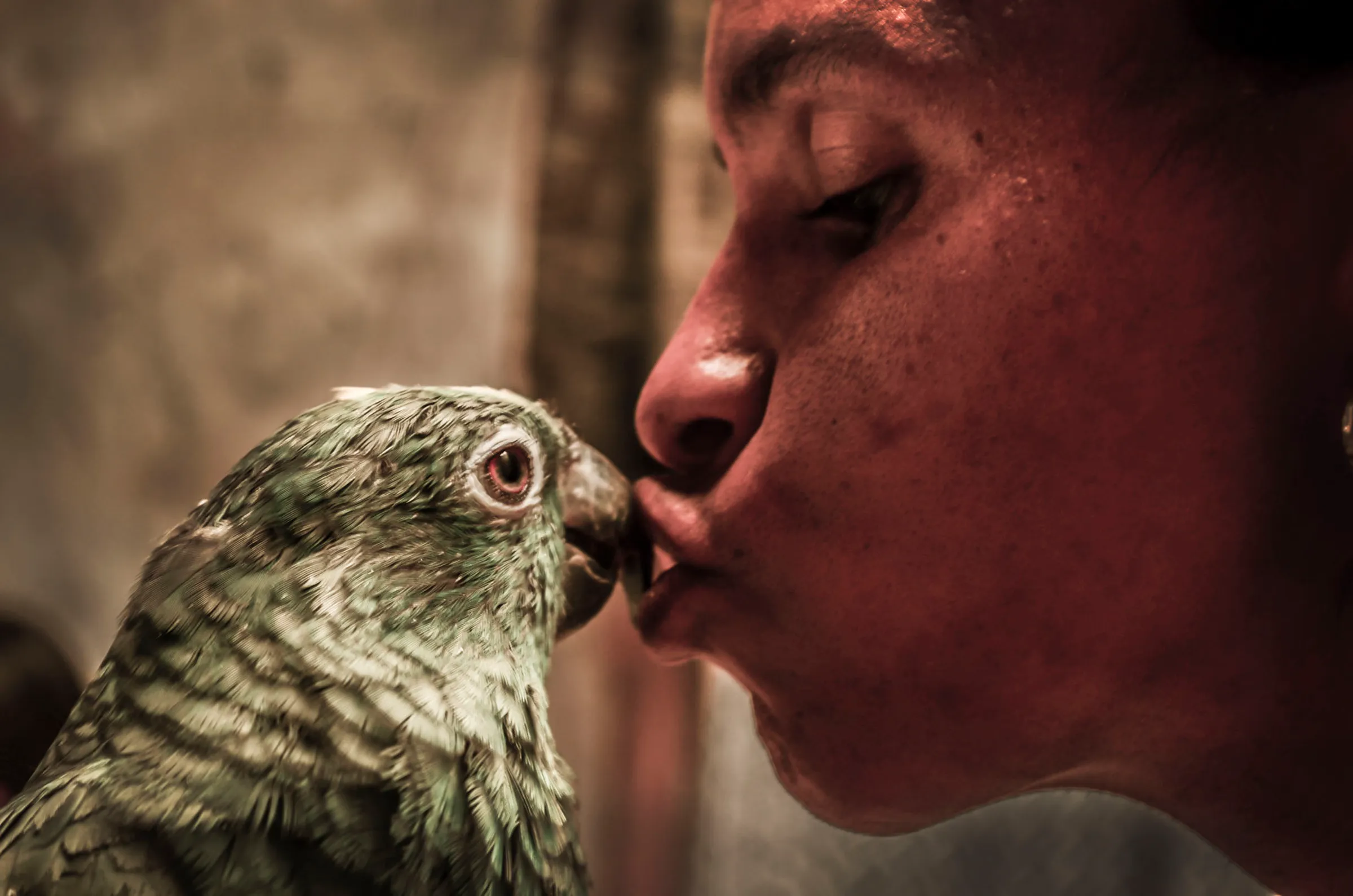 Beso al Loro Verde