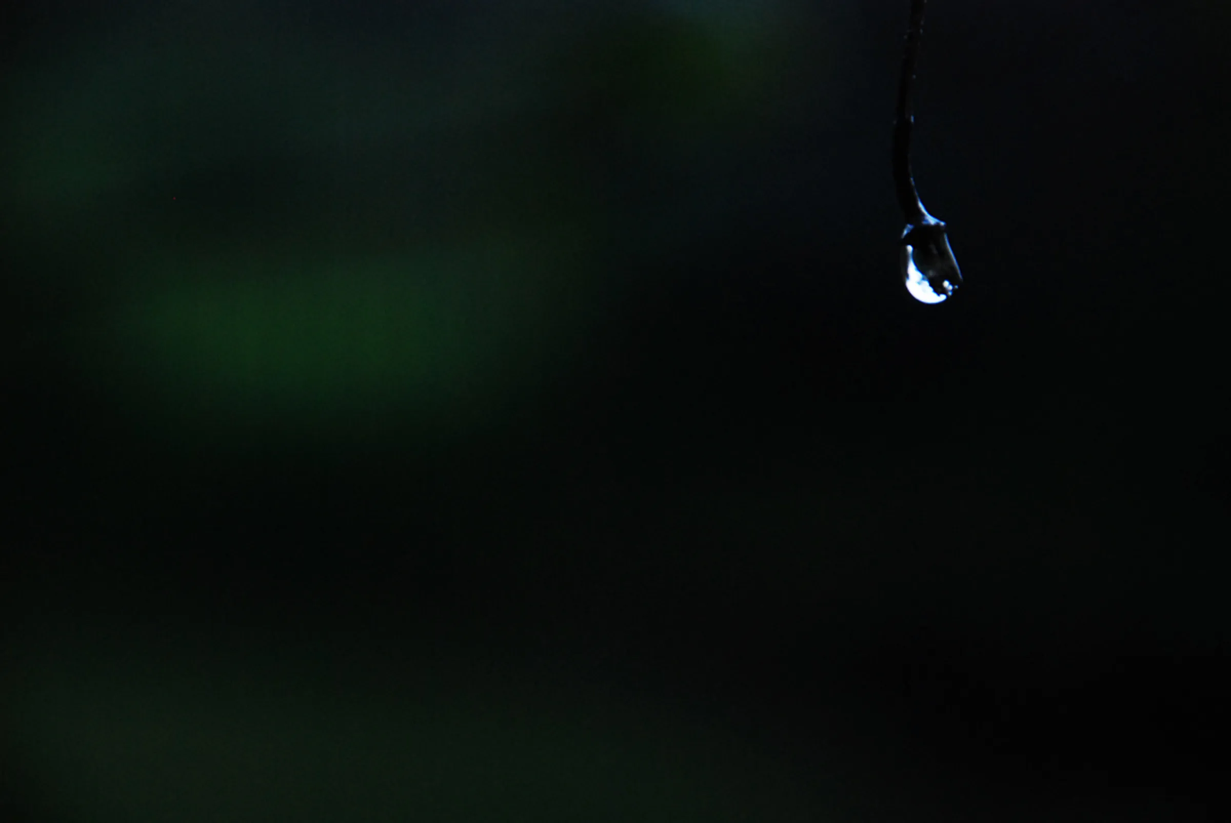 Gota En La Penumbra